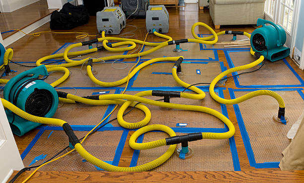 Professional Structural Drying And Dehumidification technician working in Kathryn, ND
